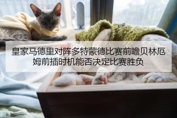 皇家马德里对阵多特蒙德比赛前瞻贝林厄姆前插时机能否决定比赛胜负