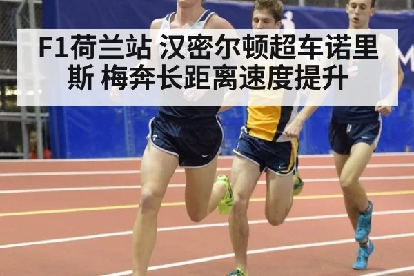 F1荷兰站 汉密尔顿超车诺里斯 梅奔长距离速度提升
