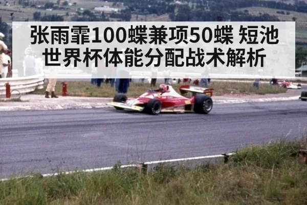 张雨霏100蝶兼项50蝶 短池世界杯体能分配战术解析